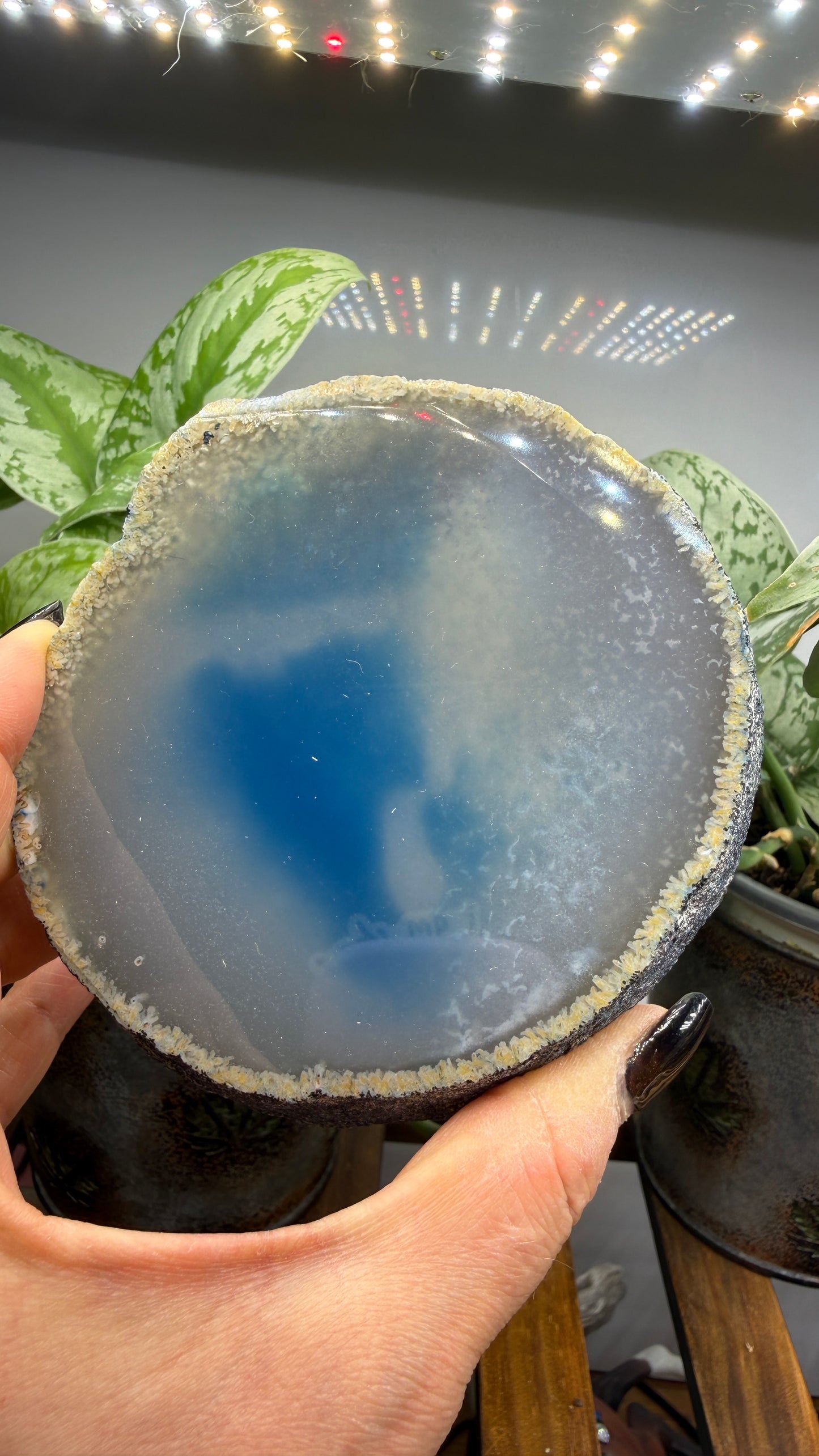 Agate Slice (Dyed- Blue)- Brazil- thicker slab