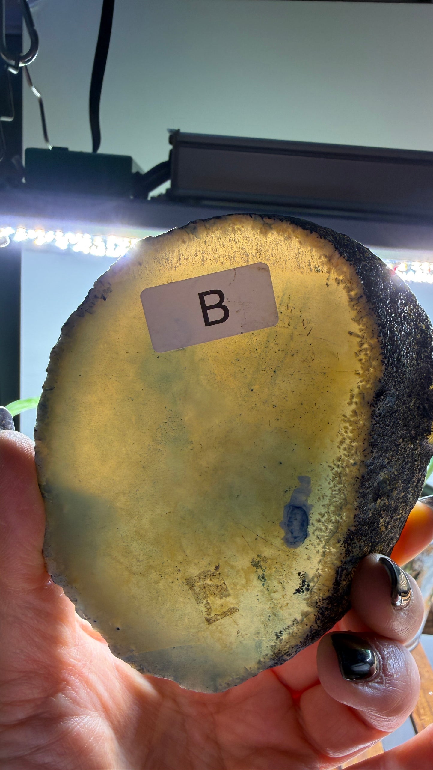 Agate Slice (Dyed- Blue)- Brazil- thicker slab