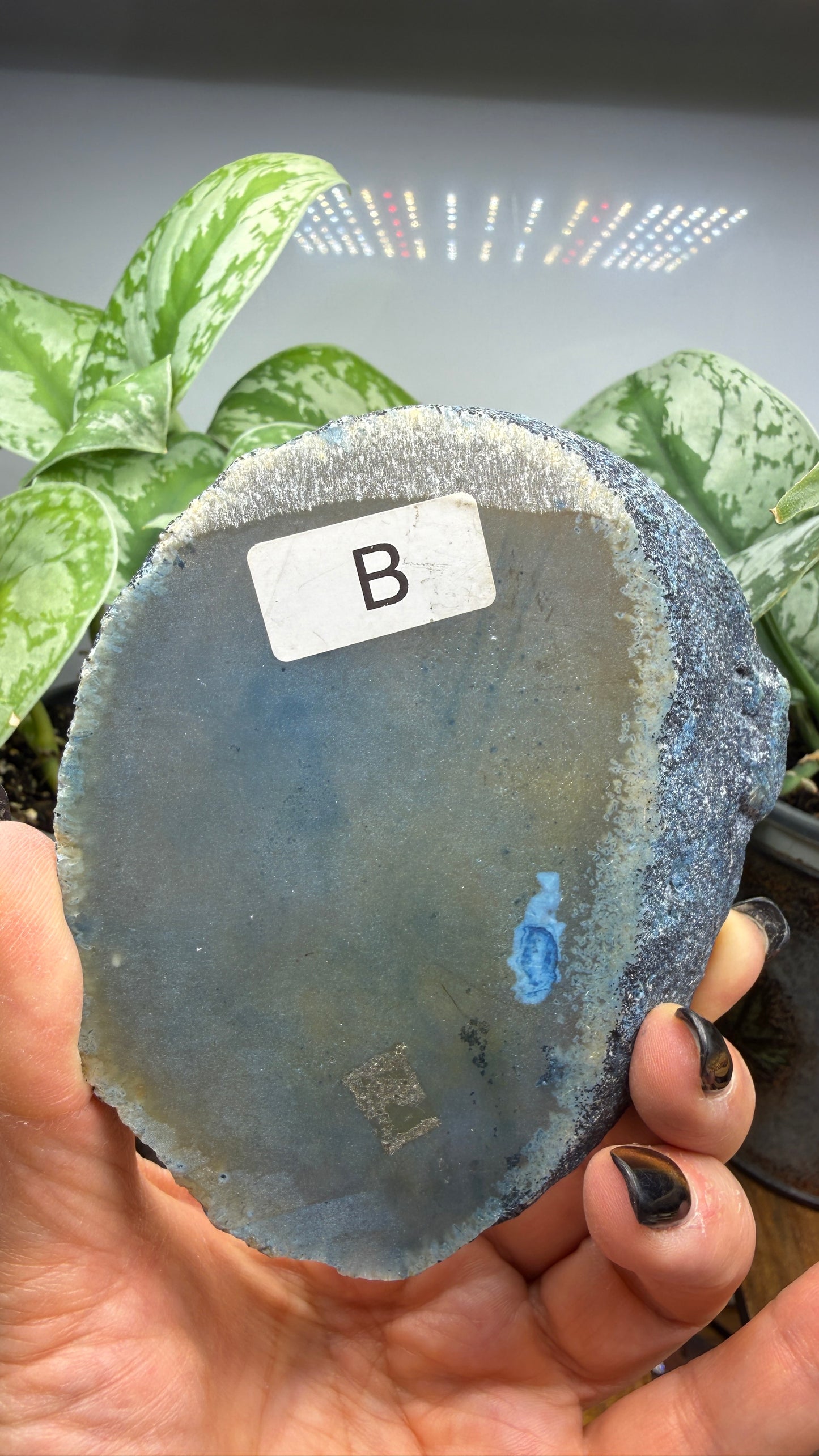 Agate Slice (Dyed- Blue)- Brazil- thicker slab
