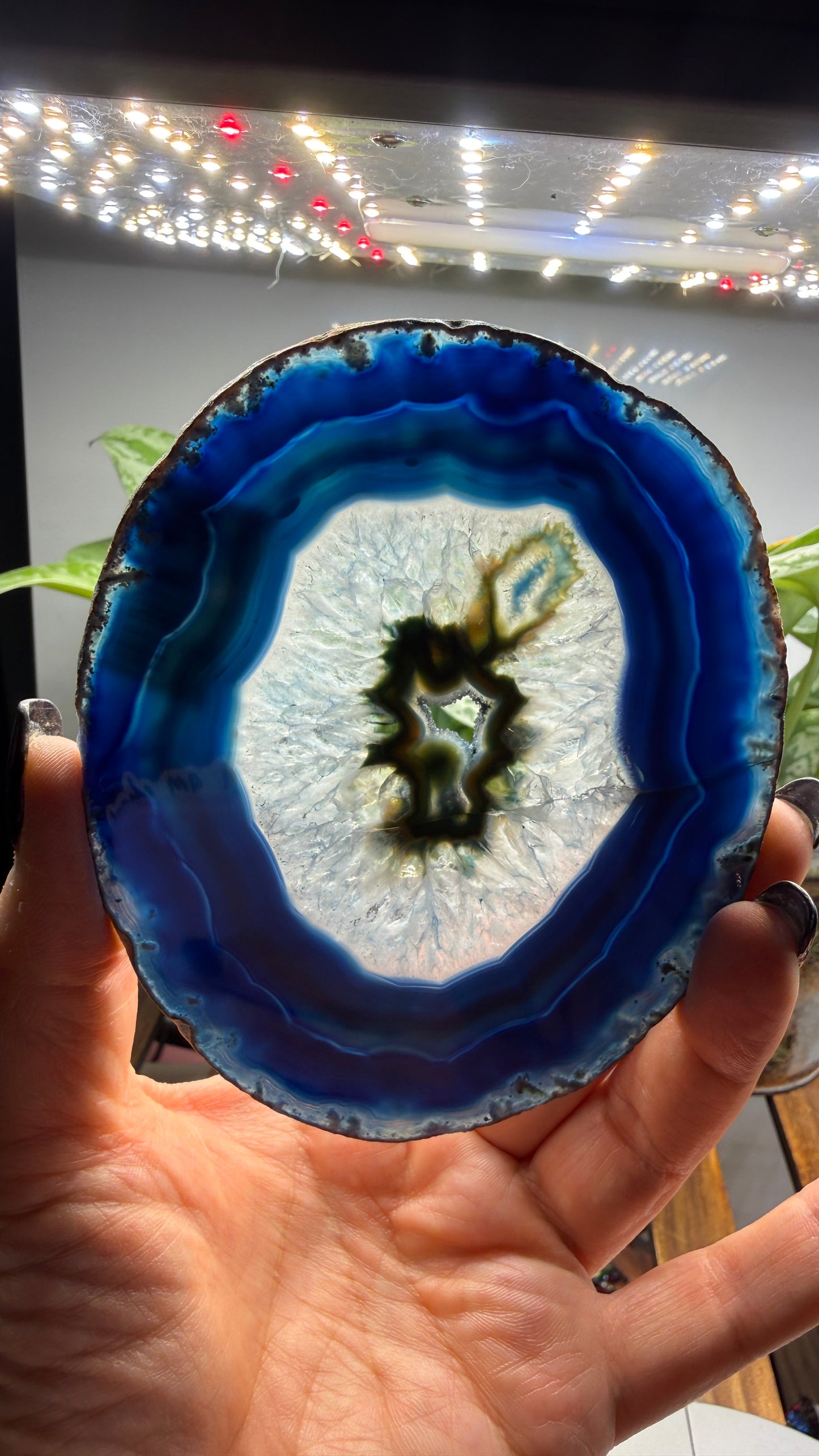 Agate Slice (Dyed- Blue)- Brazil