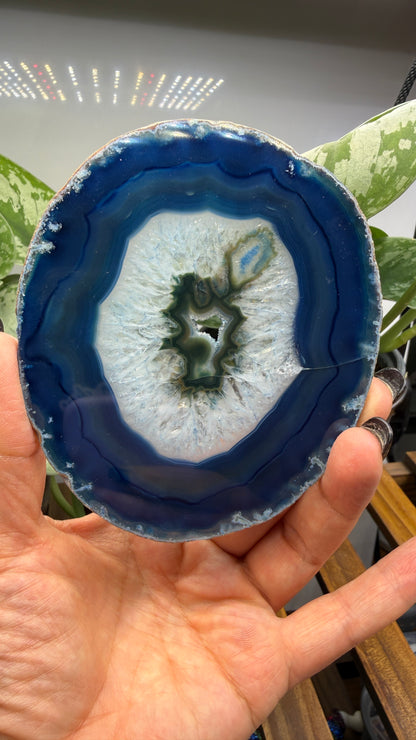 Agate Slice (Dyed- Blue)- Brazil