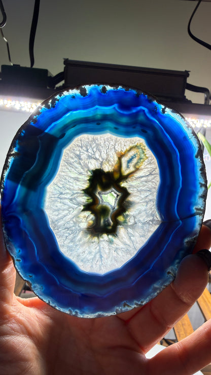 Agate Slice (Dyed- Blue)- Brazil