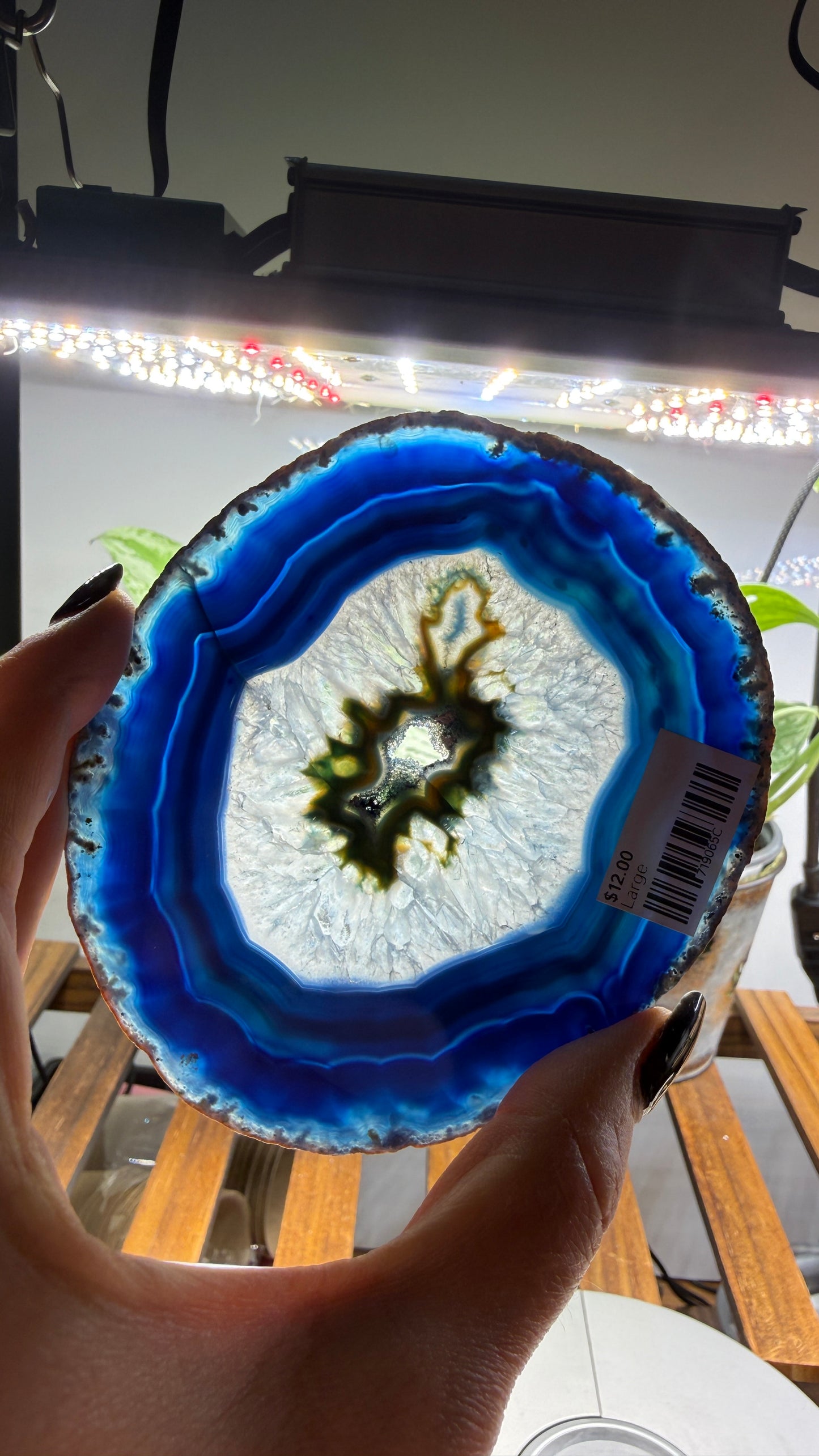 Agate Slice (Dyed- Blue)- Brazil