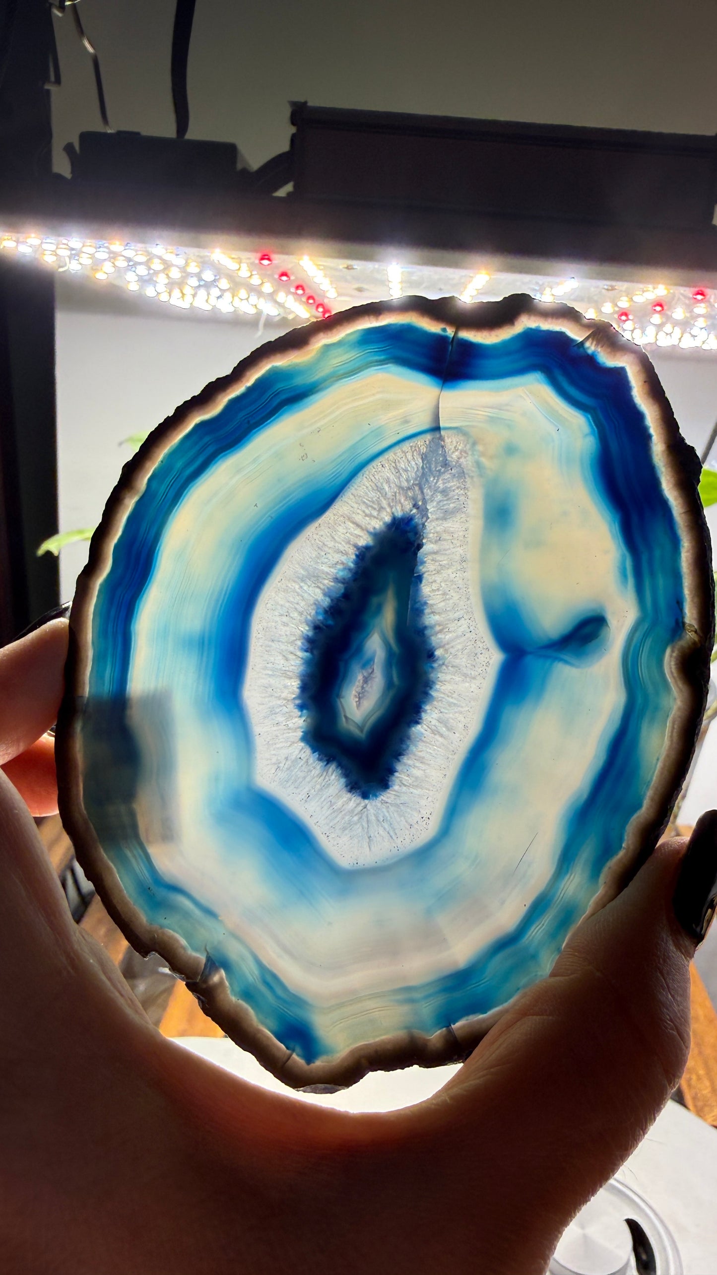 Agate Slice (Dyed- Blue)- Brazil
