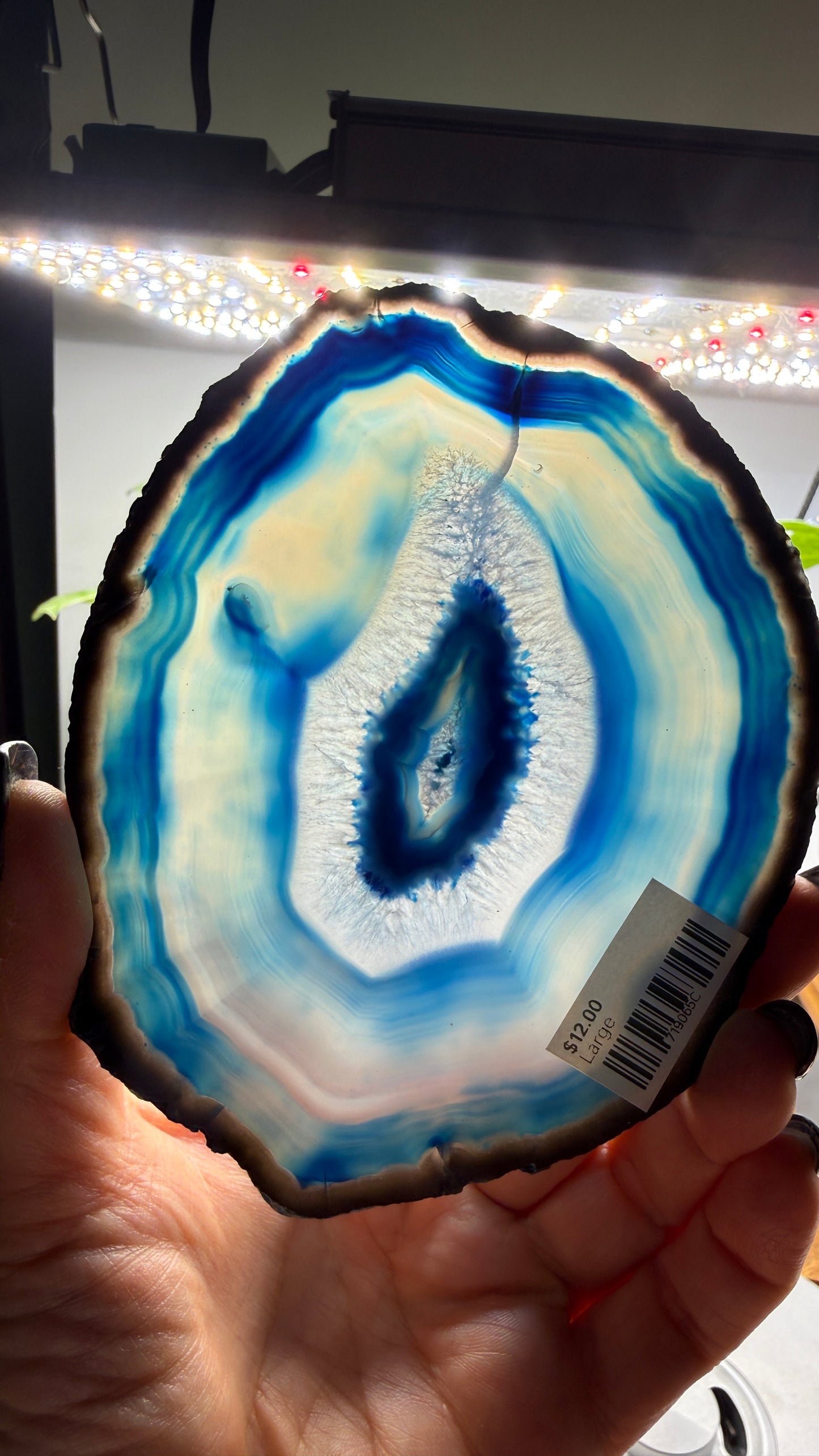 Agate Slice (Dyed- Blue)- Brazil