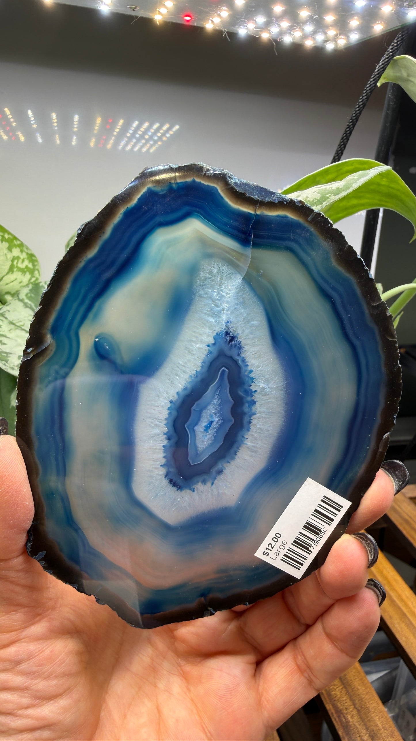 Agate Slice (Dyed- Blue)- Brazil