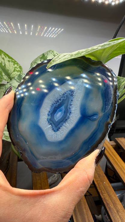 Agate Slice (Dyed- Blue)- Brazil