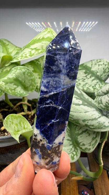 Sodalite Tower/Point- 3.625 inch