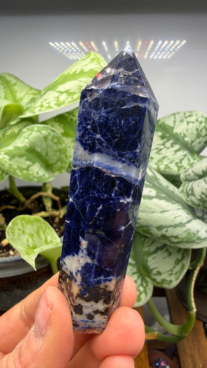 Sodalite Tower/Point- 3.625 inch