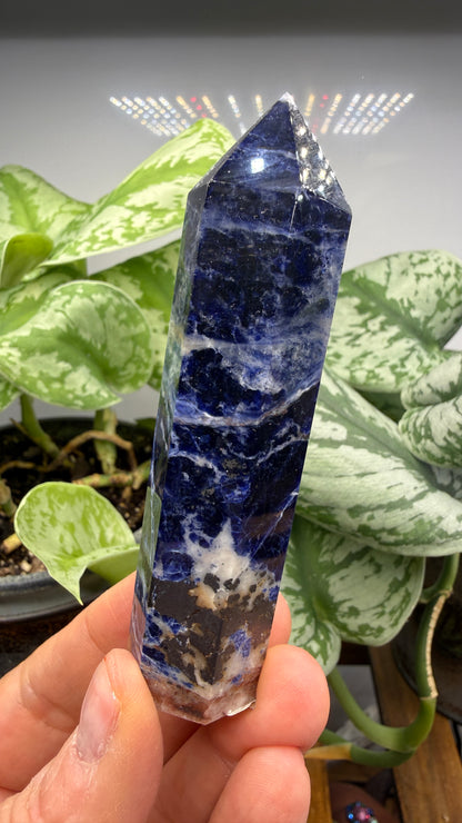 Sodalite Tower/Point- 3.625 inch