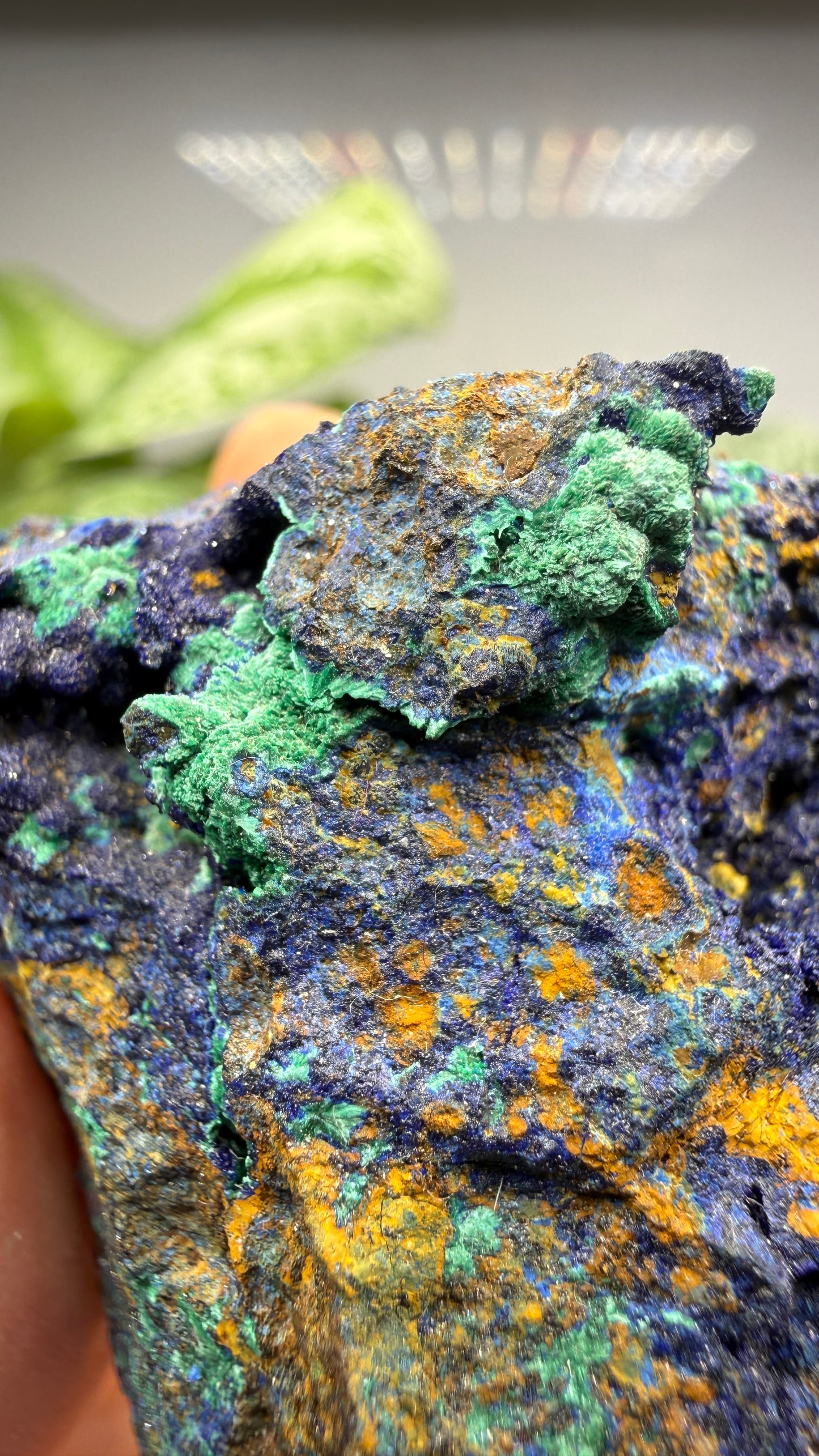 Azurite, Malachite- Morenci Mine, Morenci, Greenlee County, Arizona, USA