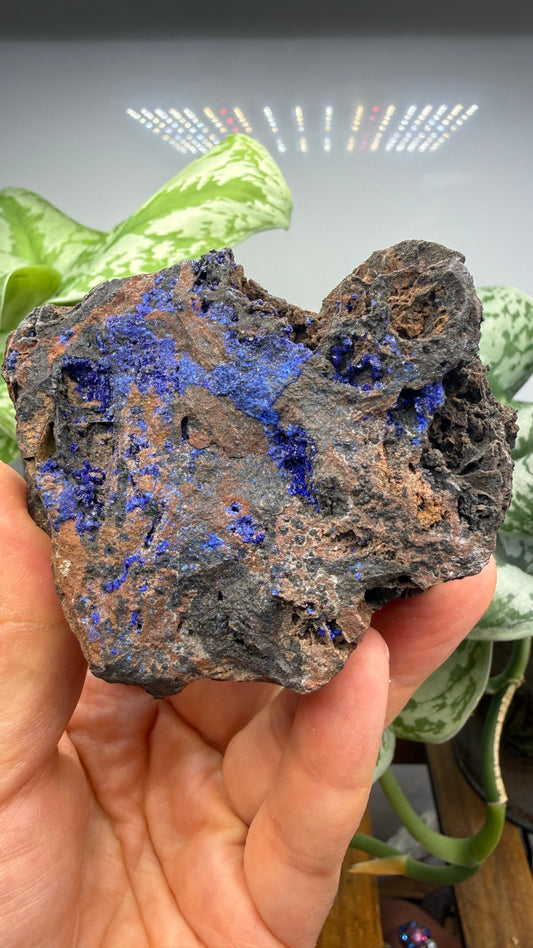 Azurite- Morenci Mine, Morenci, Greenlee County, Arizona, USA
