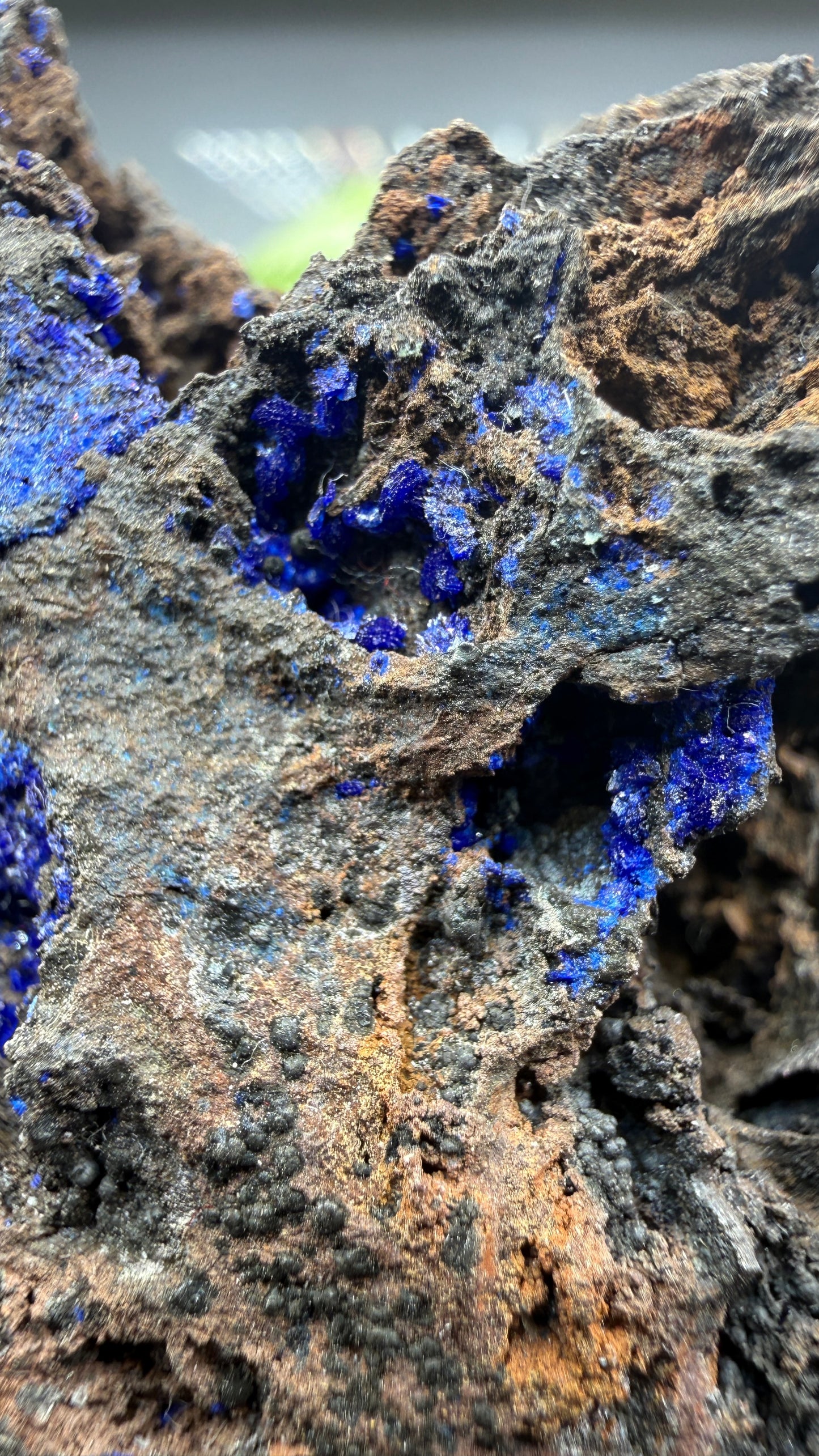 Azurite- Morenci Mine, Morenci, Greenlee County, Arizona, USA