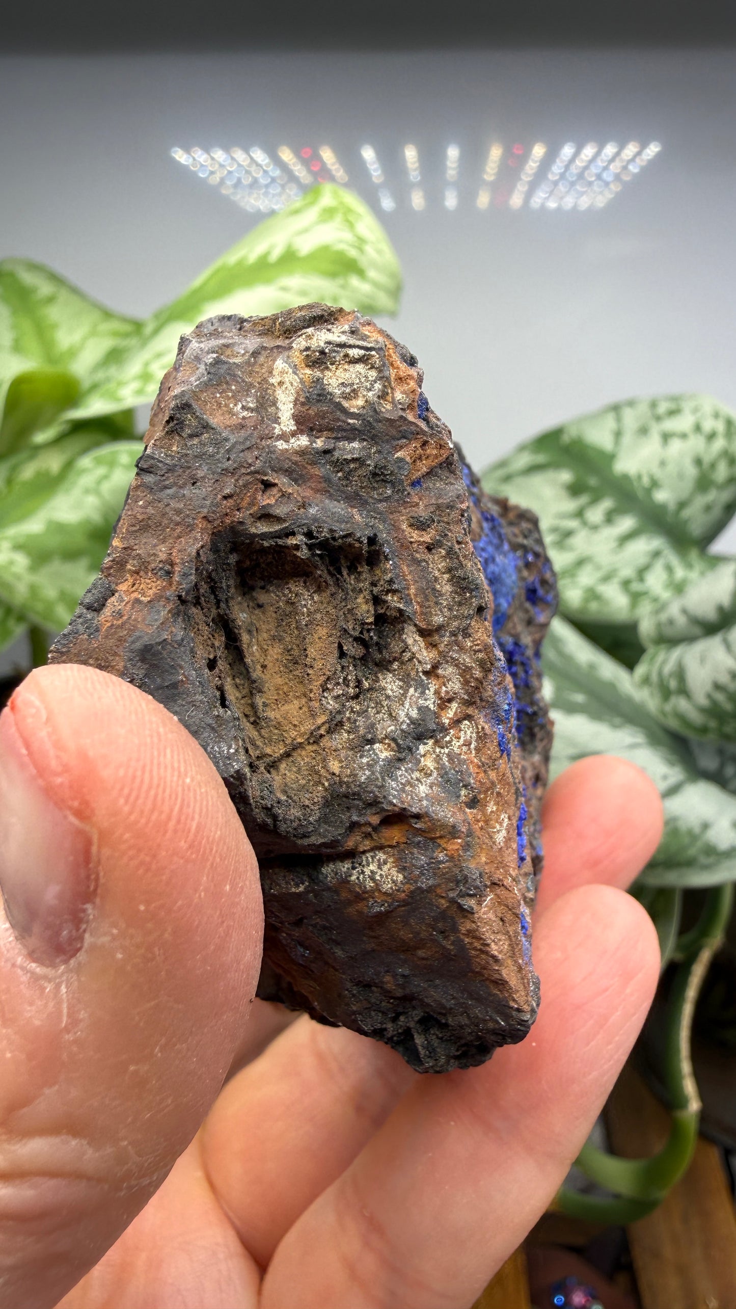 Azurite- Morenci Mine, Morenci, Greenlee County, Arizona, USA