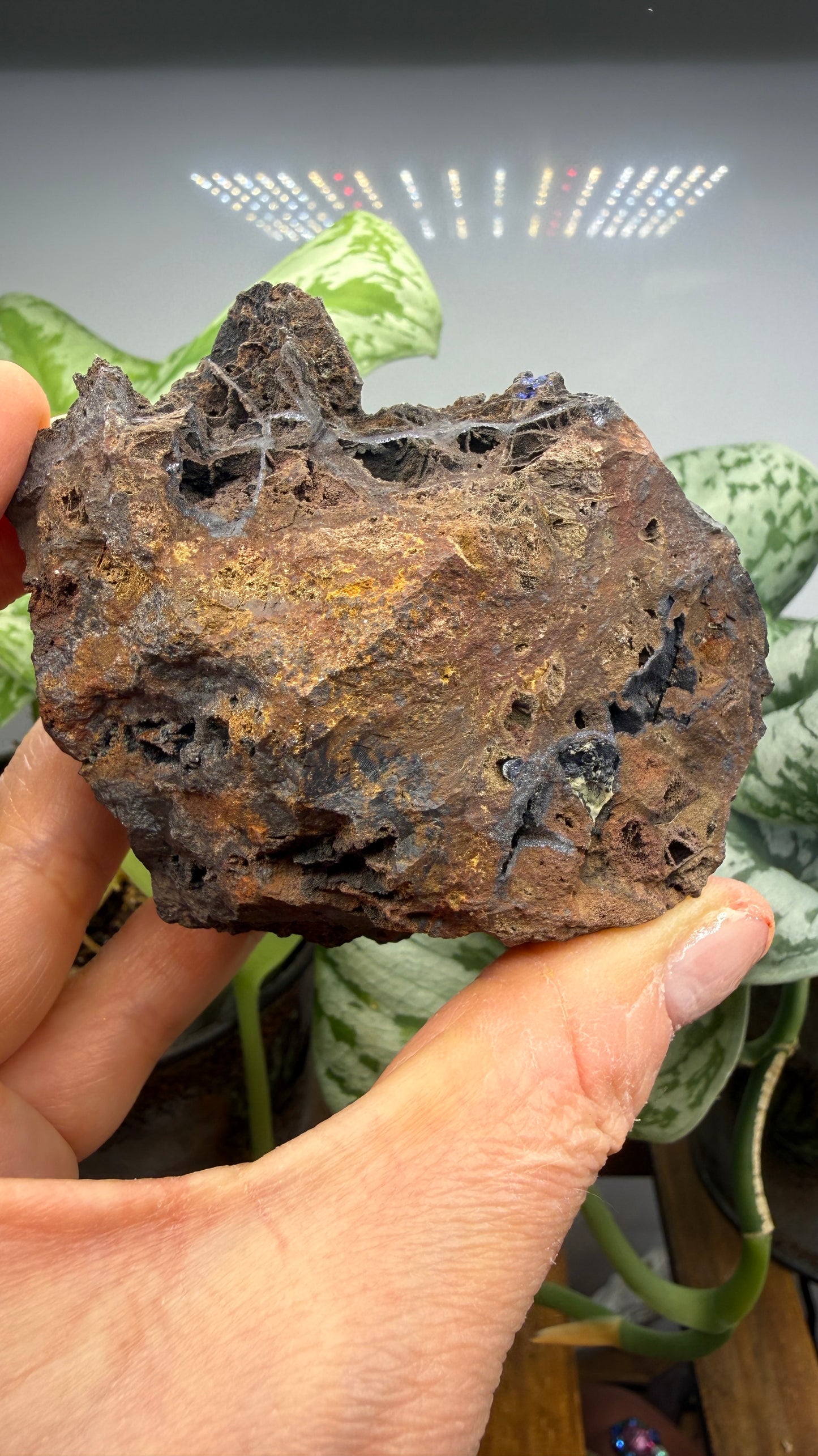 Azurite- Morenci Mine, Morenci, Greenlee County, Arizona, USA