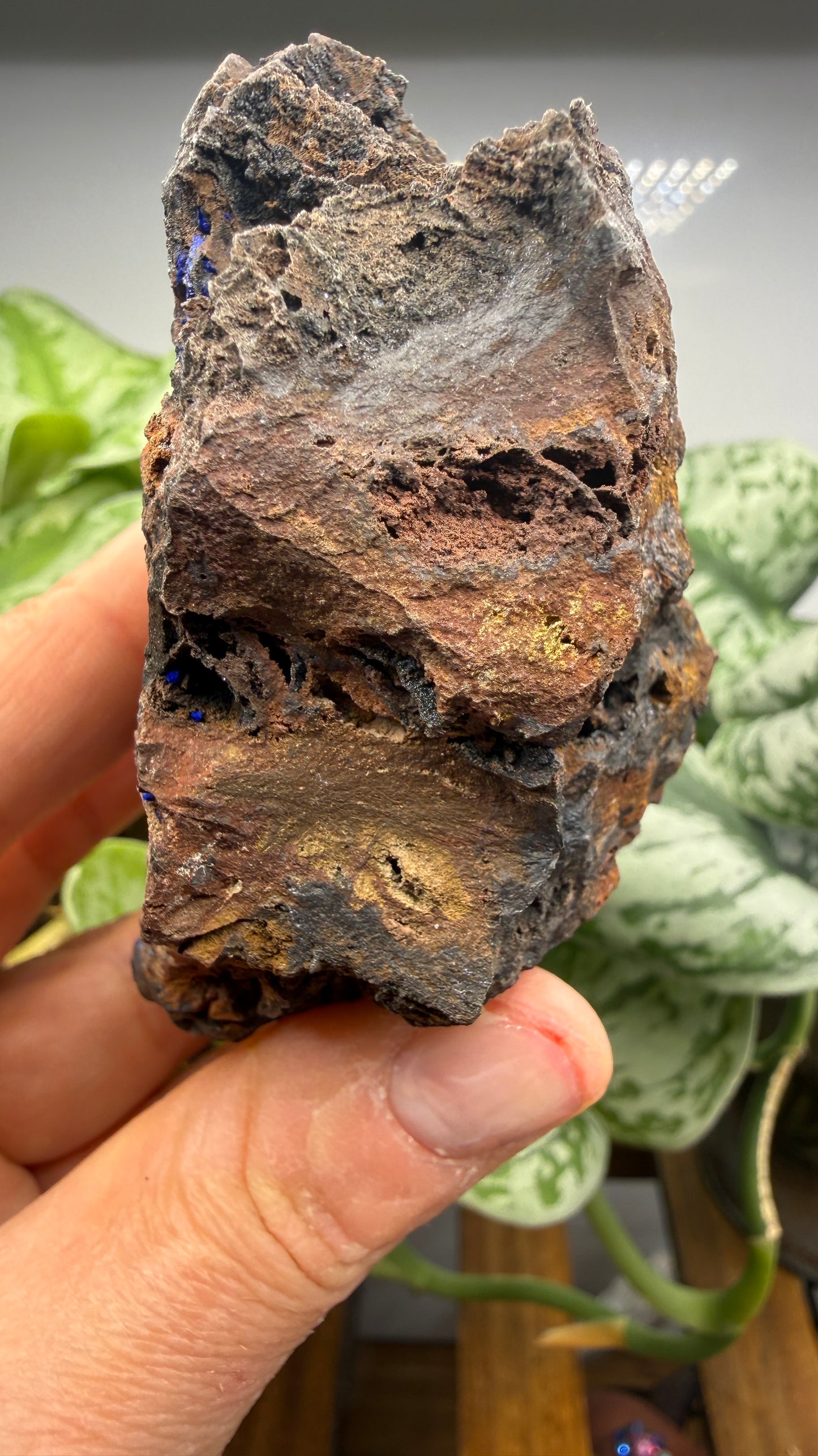 Azurite- Morenci Mine, Morenci, Greenlee County, Arizona, USA