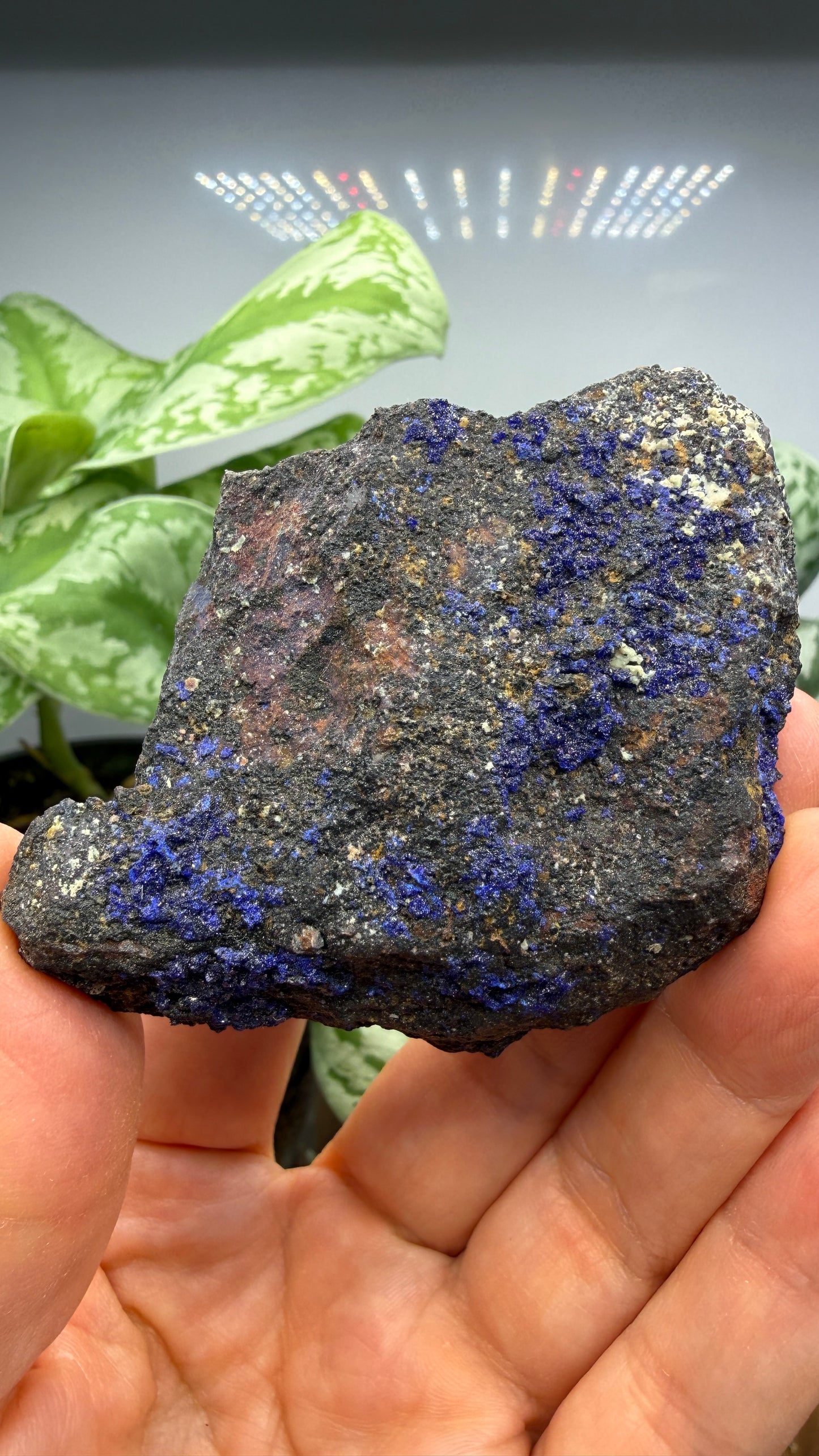 Azurite- Morenci Mine, Morenci, Greenlee County, Arizona, USA