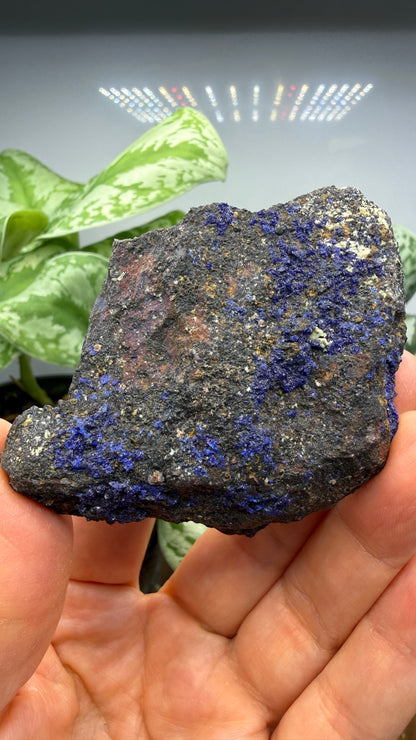 Azurite- Morenci Mine, Morenci, Greenlee County, Arizona, USA