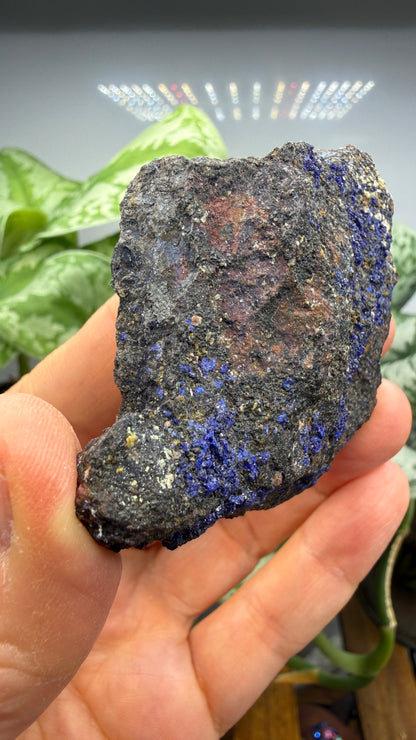 Azurite- Morenci Mine, Morenci, Greenlee County, Arizona, USA