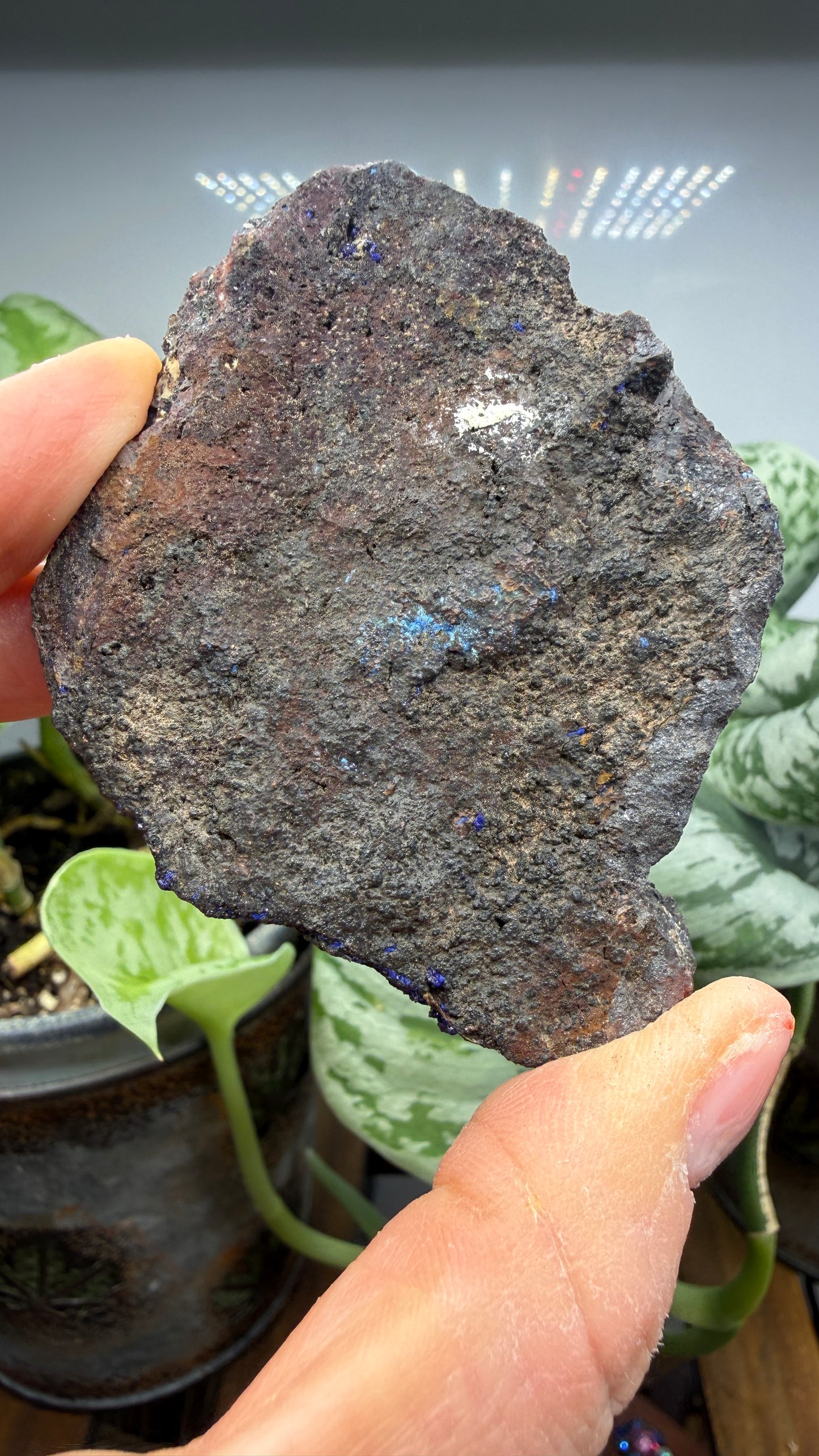 Azurite- Morenci Mine, Morenci, Greenlee County, Arizona, USA