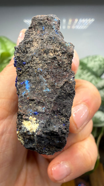 Azurite- Morenci Mine, Morenci, Greenlee County, Arizona, USA
