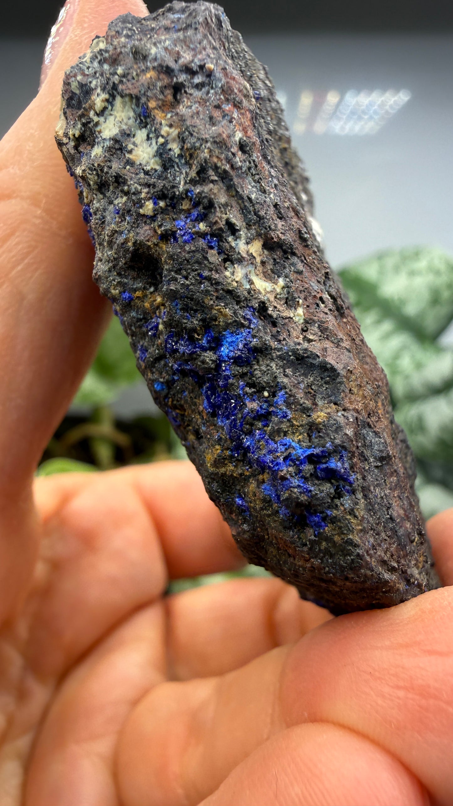 Azurite- Morenci Mine, Morenci, Greenlee County, Arizona, USA