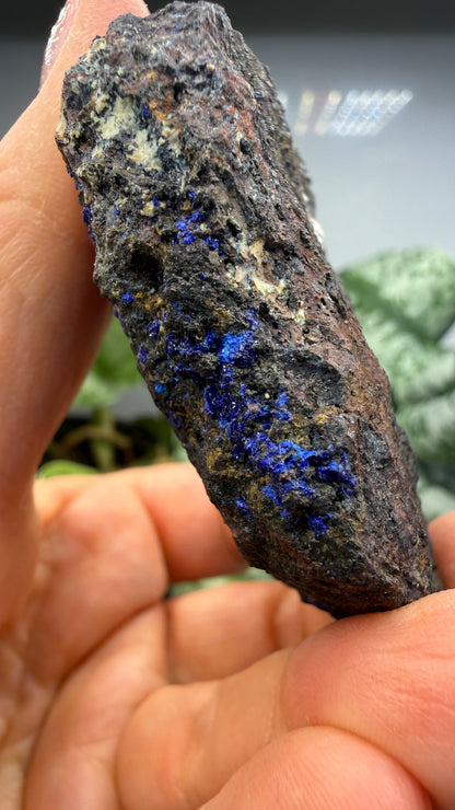 Azurite- Morenci Mine, Morenci, Greenlee County, Arizona, USA