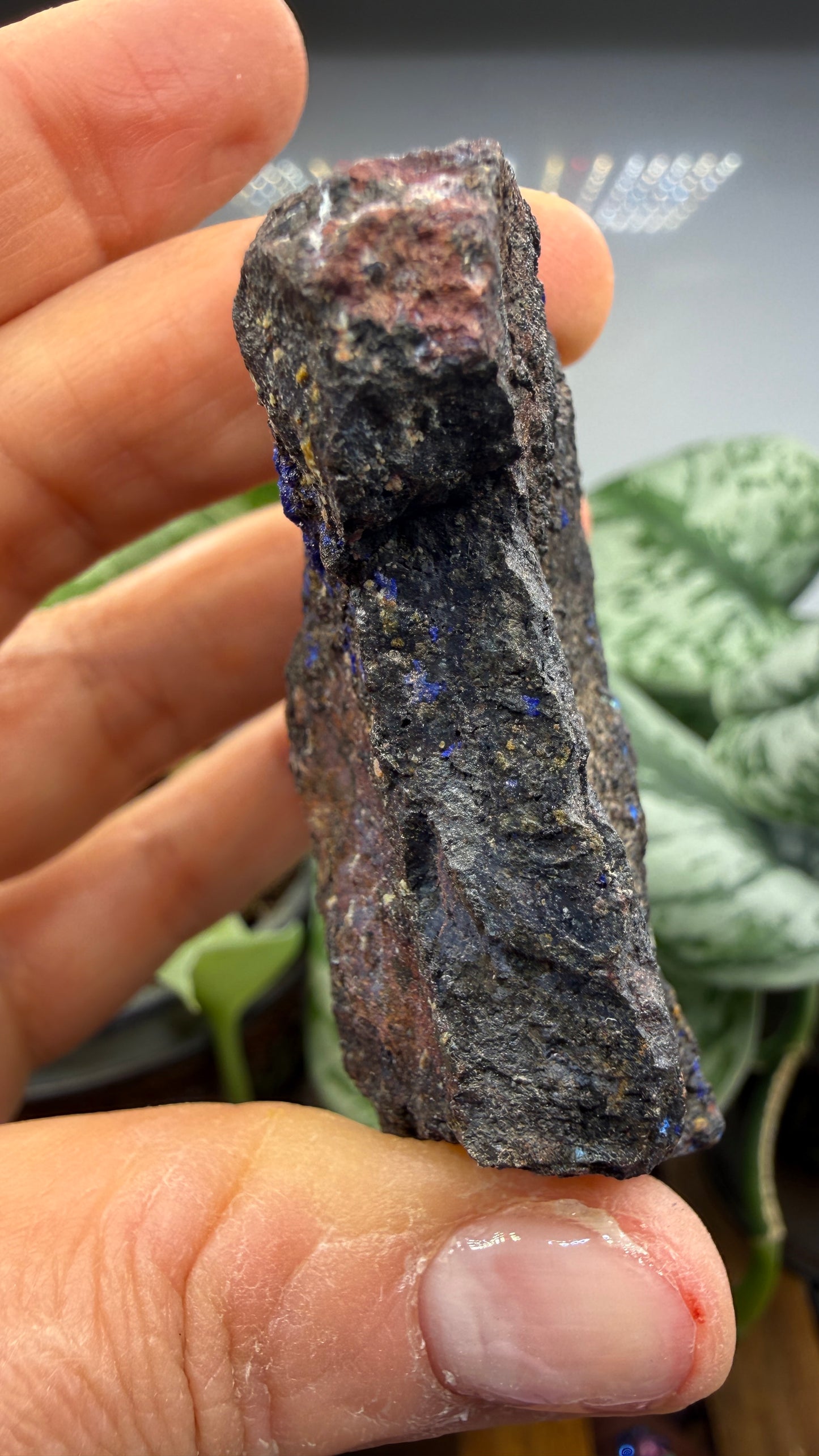 Azurite- Morenci Mine, Morenci, Greenlee County, Arizona, USA