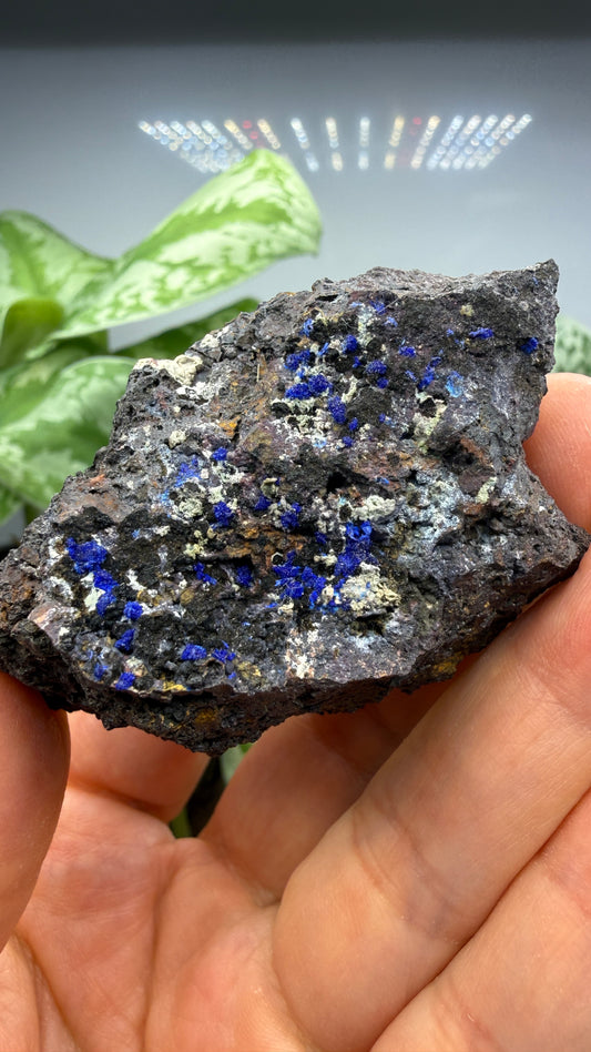 Azurite- Morenci Mine, Morenci, Greenlee County, Arizona, USA