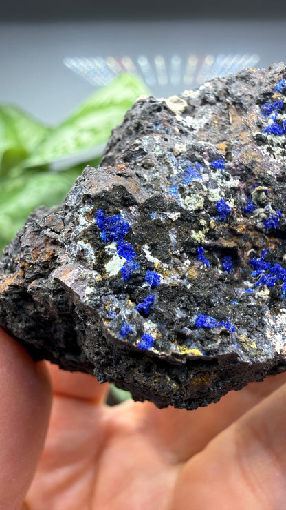 Azurite- Morenci Mine, Morenci, Greenlee County, Arizona, USA