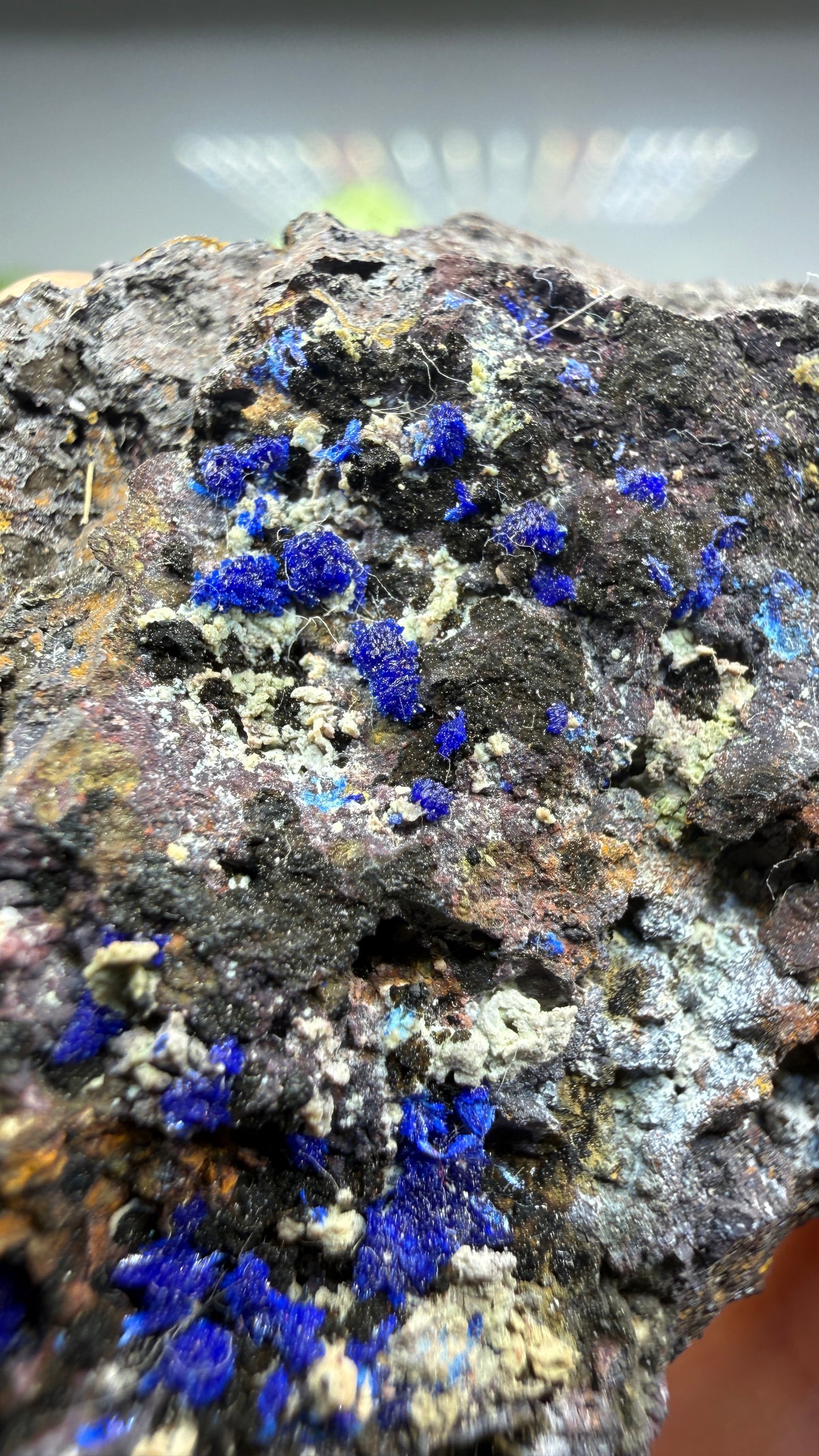 Azurite- Morenci Mine, Morenci, Greenlee County, Arizona, USA
