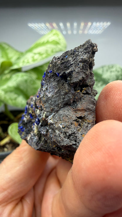Azurite- Morenci Mine, Morenci, Greenlee County, Arizona, USA