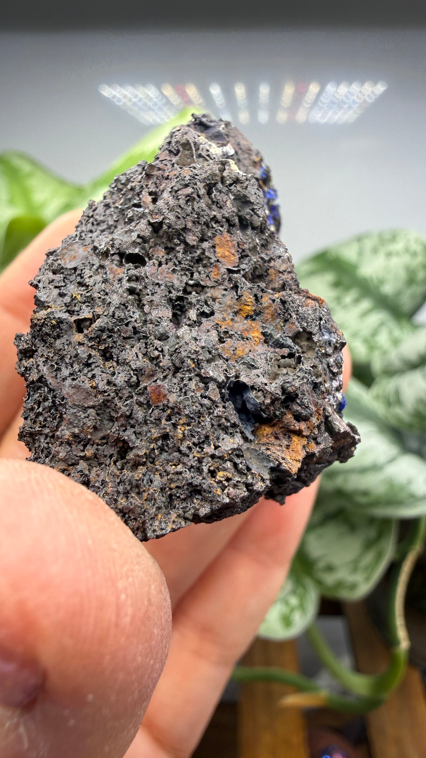 Azurite- Morenci Mine, Morenci, Greenlee County, Arizona, USA