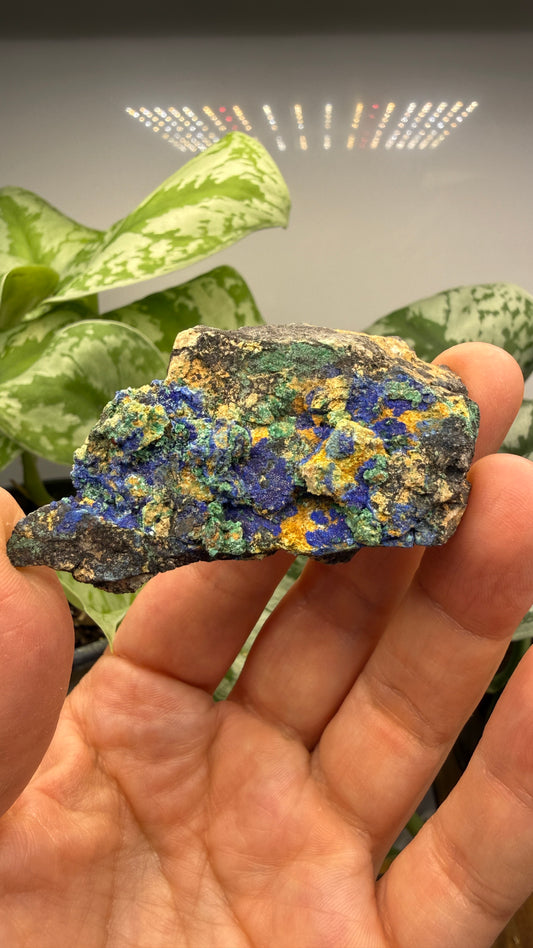 Azurite, Malachite- Morenci Mine, Morenci, Greenlee County, Arizona, USA