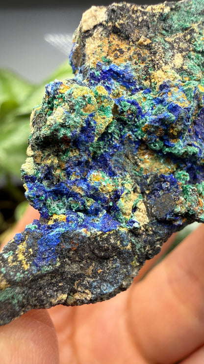 Azurite, Malachite- Morenci Mine, Morenci, Greenlee County, Arizona, USA