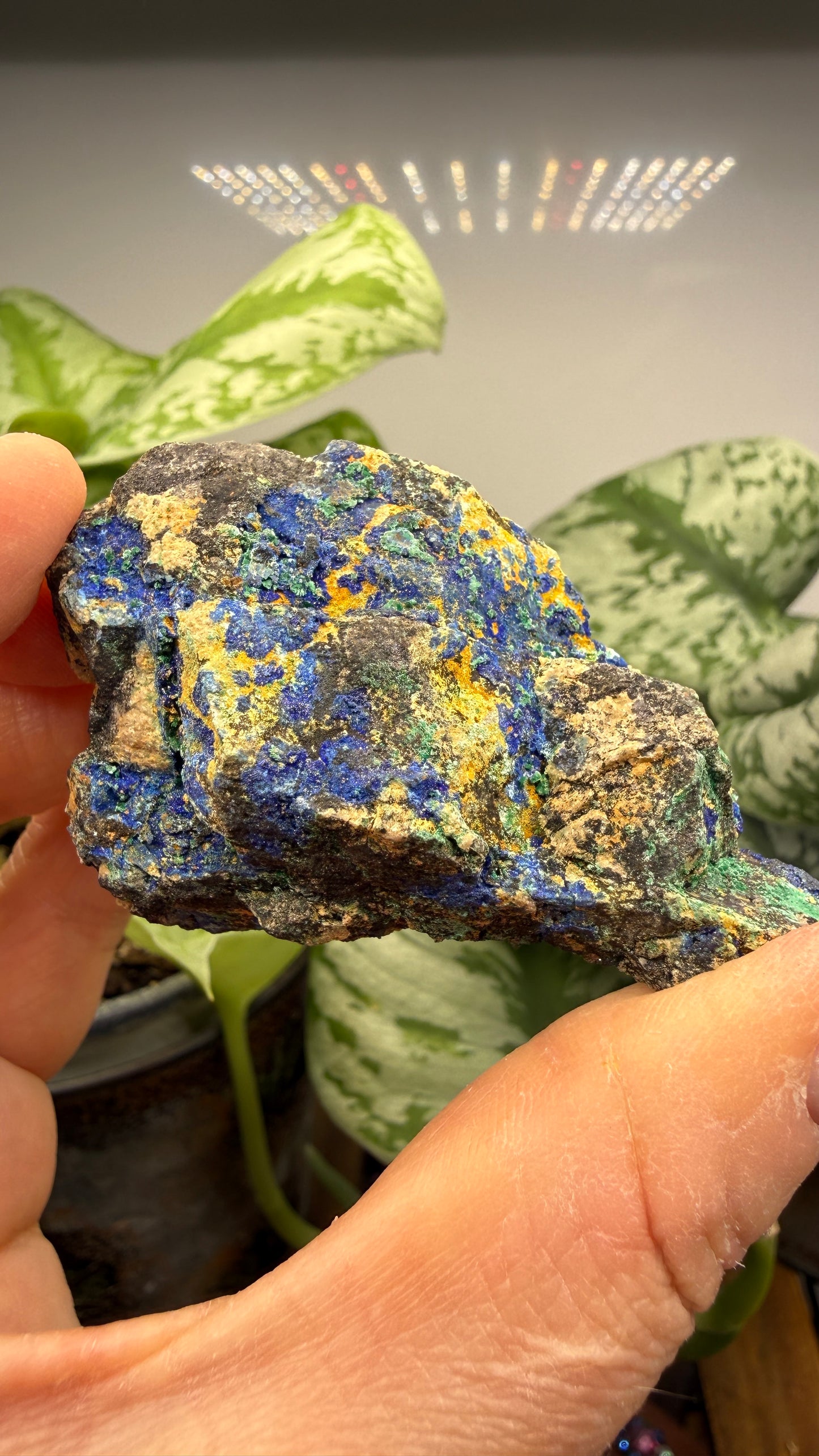 Azurite, Malachite- Morenci Mine, Morenci, Greenlee County, Arizona, USA