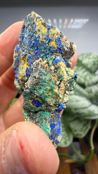 Azurite, Malachite- Morenci Mine, Morenci, Greenlee County, Arizona, USA