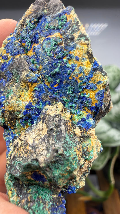Azurite, Malachite- Morenci Mine, Morenci, Greenlee County, Arizona, USA