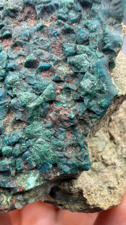 Chrysocolla, Malachite- Apex Mine, Money Creek Mining District, King County, Washington, USA