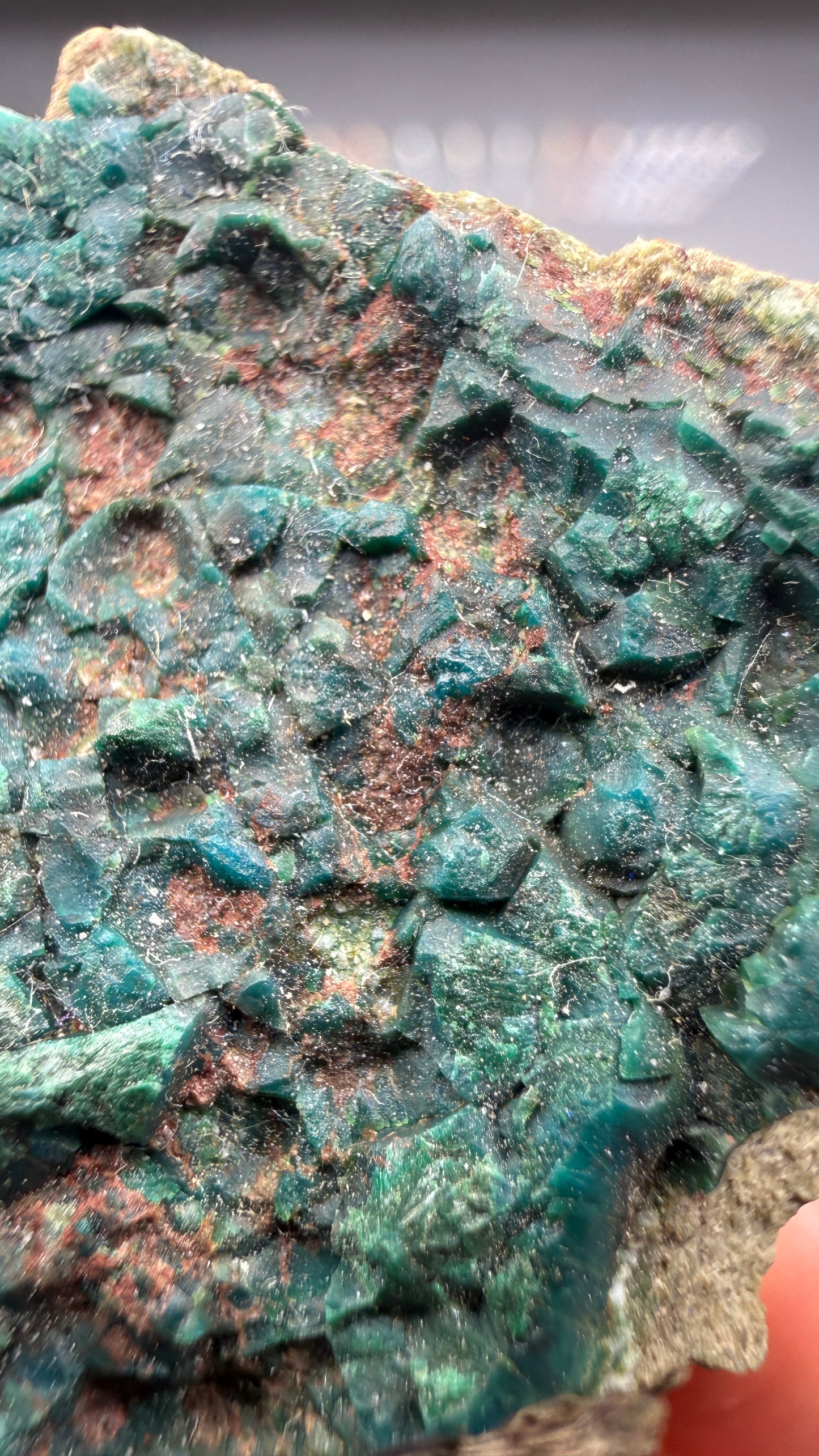 Chrysocolla, Malachite- Apex Mine, Money Creek Mining District, King County, Washington, USA