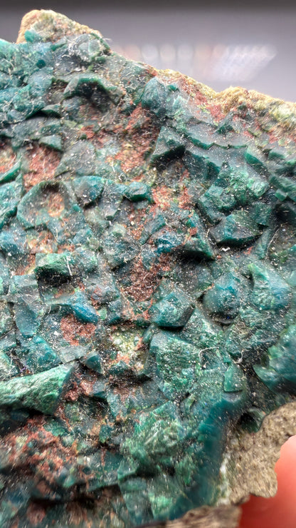 Chrysocolla, Malachite- Apex Mine, Money Creek Mining District, King County, Washington, USA