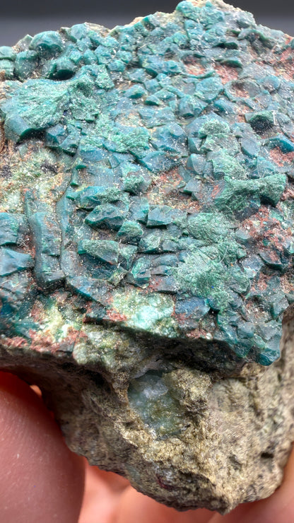 Chrysocolla, Malachite- Apex Mine, Money Creek Mining District, King County, Washington, USA