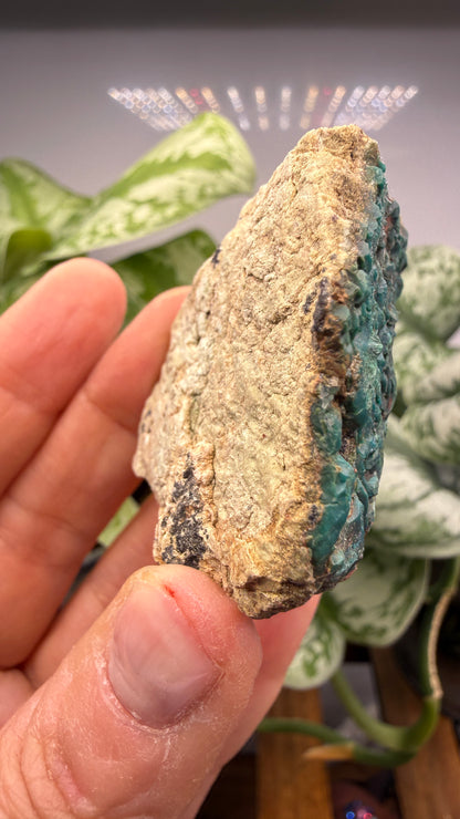 Chrysocolla, Malachite- Apex Mine, Money Creek Mining District, King County, Washington, USA