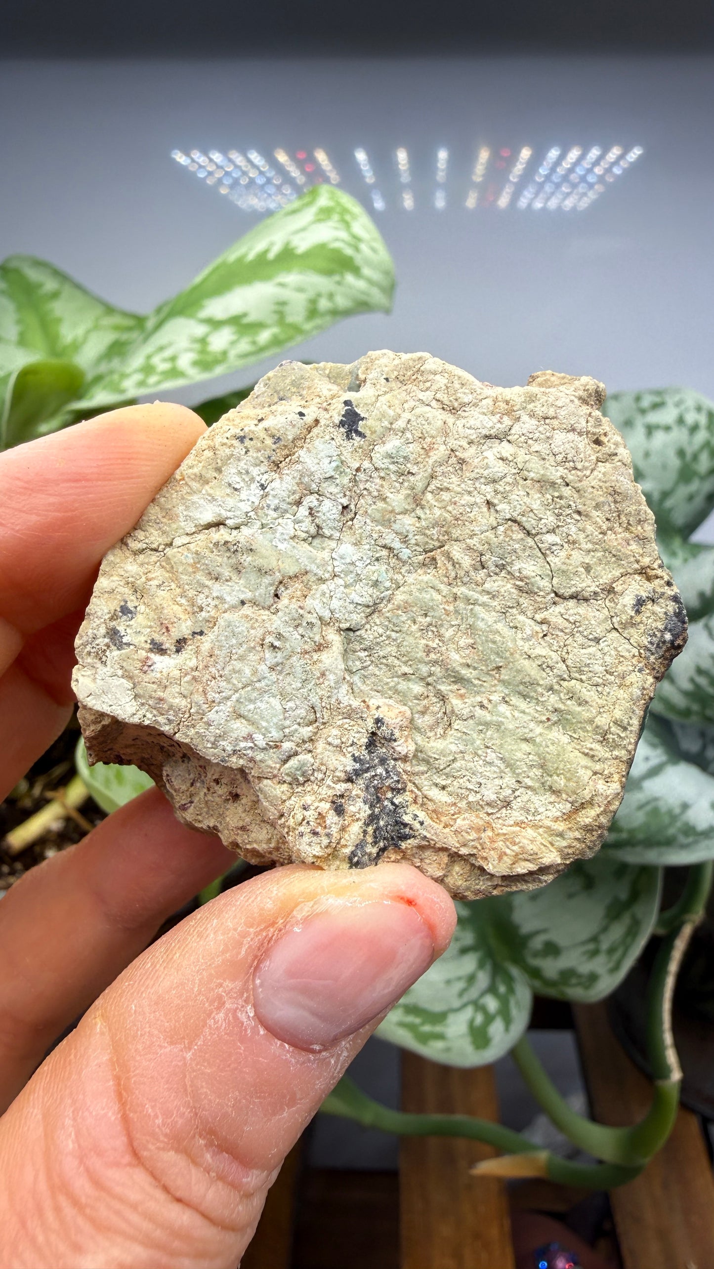 Chrysocolla, Malachite- Apex Mine, Money Creek Mining District, King County, Washington, USA