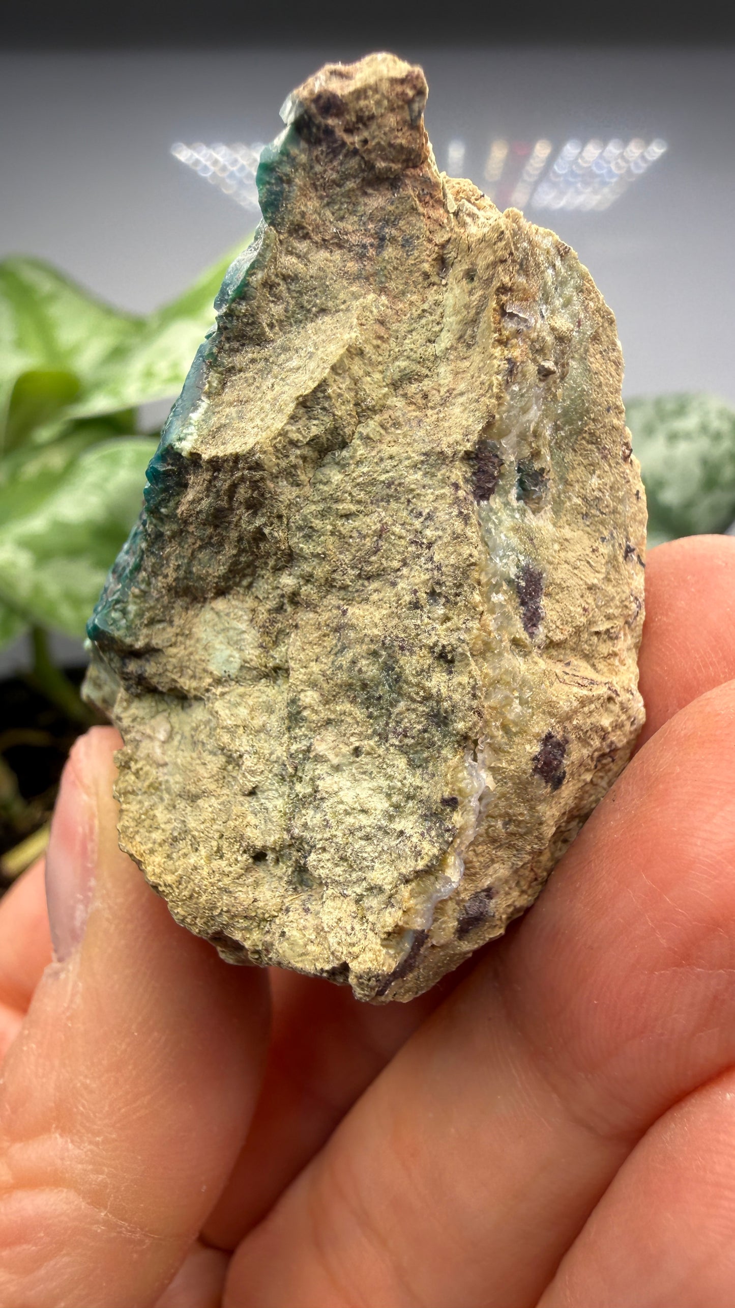 Chrysocolla, Malachite- Apex Mine, Money Creek Mining District, King County, Washington, USA