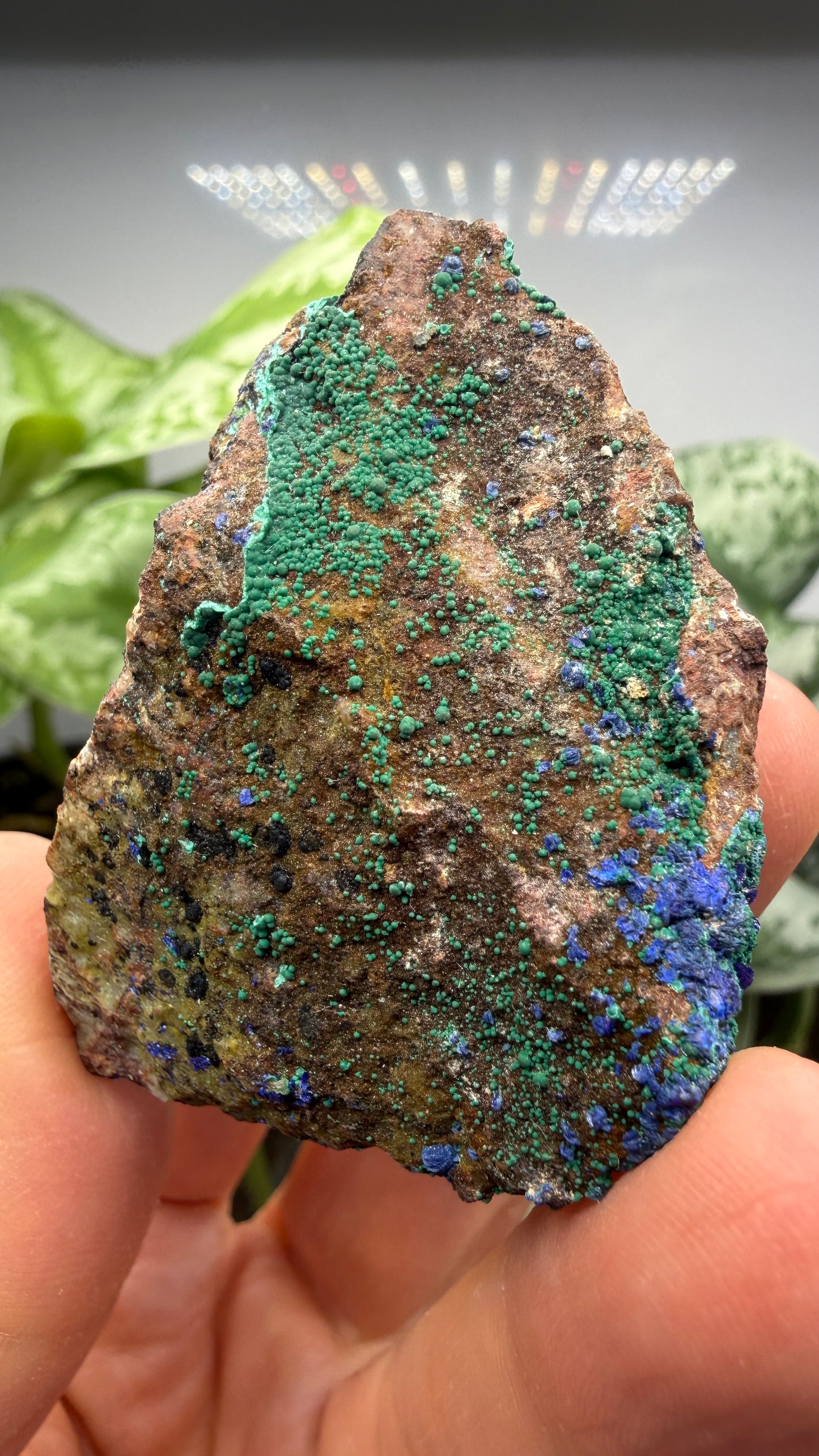 Azurite, Malachite- Morenci Mine, Morenci, Greenlee County, Arizona, USA