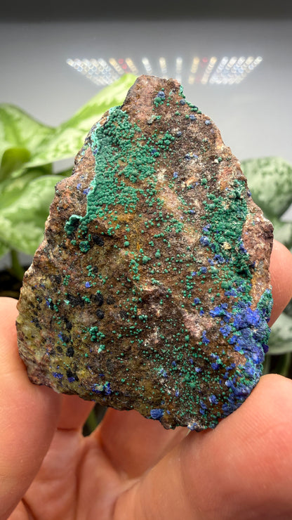 Azurite, Malachite- Morenci Mine, Morenci, Greenlee County, Arizona, USA