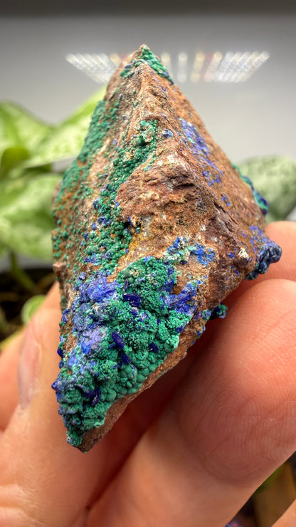 Azurite, Malachite- Morenci Mine, Morenci, Greenlee County, Arizona, USA
