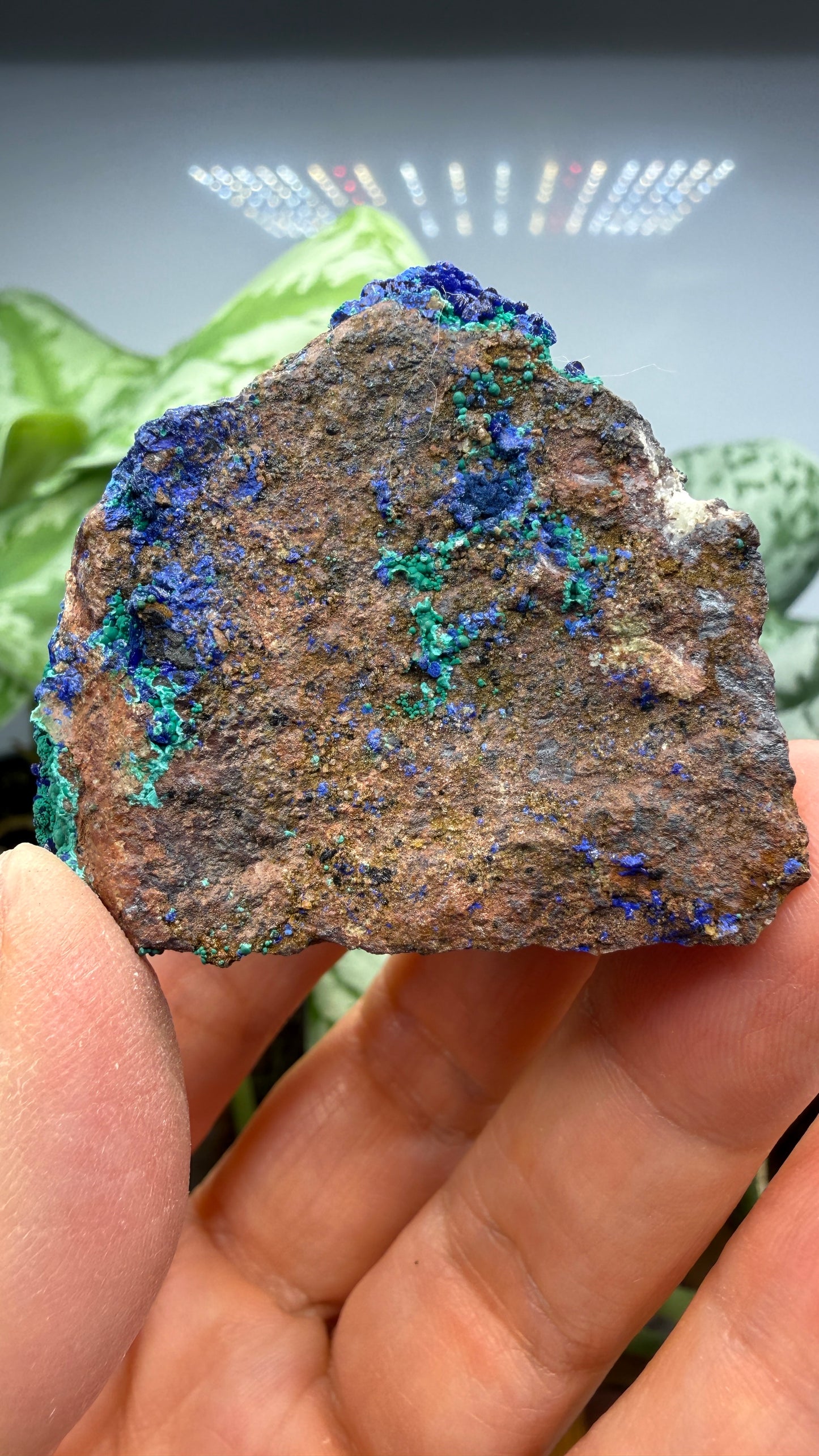 Azurite, Malachite- Morenci Mine, Morenci, Greenlee County, Arizona, USA