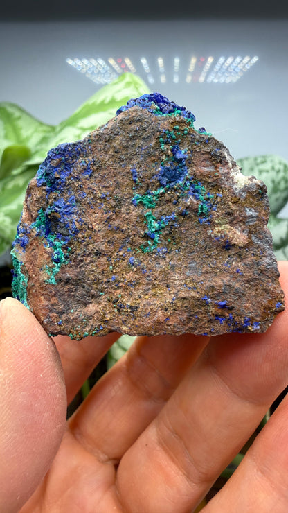 Azurite, Malachite- Morenci Mine, Morenci, Greenlee County, Arizona, USA